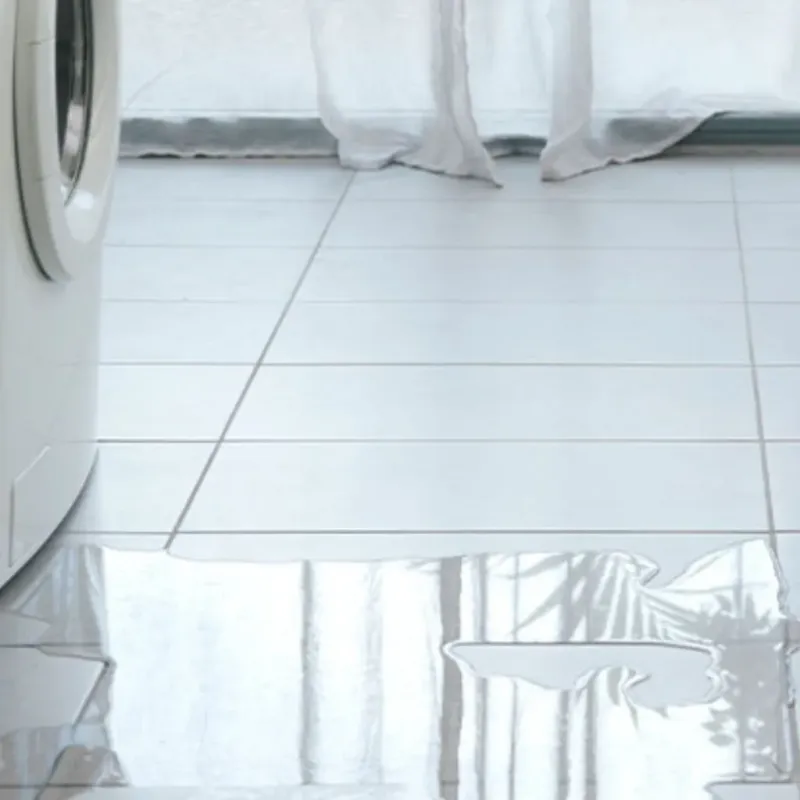 Appliance Leak Cleanup in Friendswood, TX