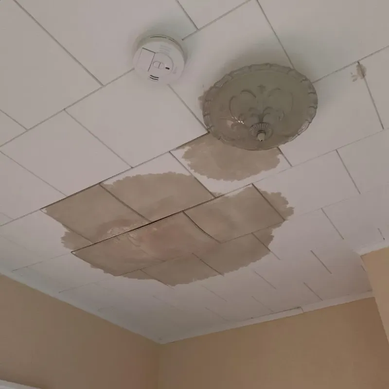 Ceiling Water Damage Repair in Friendswood, TX