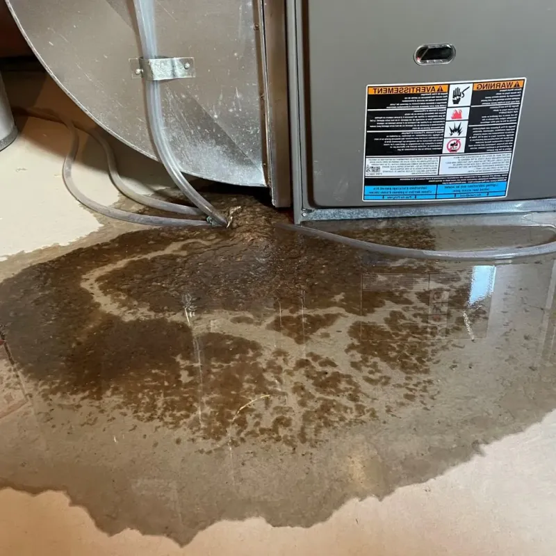 Pipe Burst and Leak Restoration in Friendswood, TX