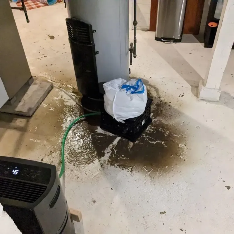 Sewage Backup Cleanup Service in Friendswood, TX